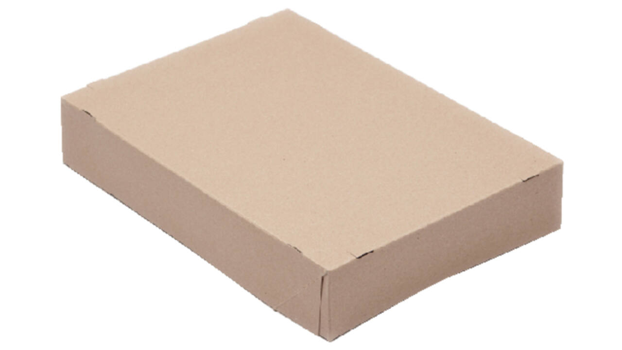 Paraatdoos CleverPack A4 305x218x55mm voor 500 vel bruin pak à 10st