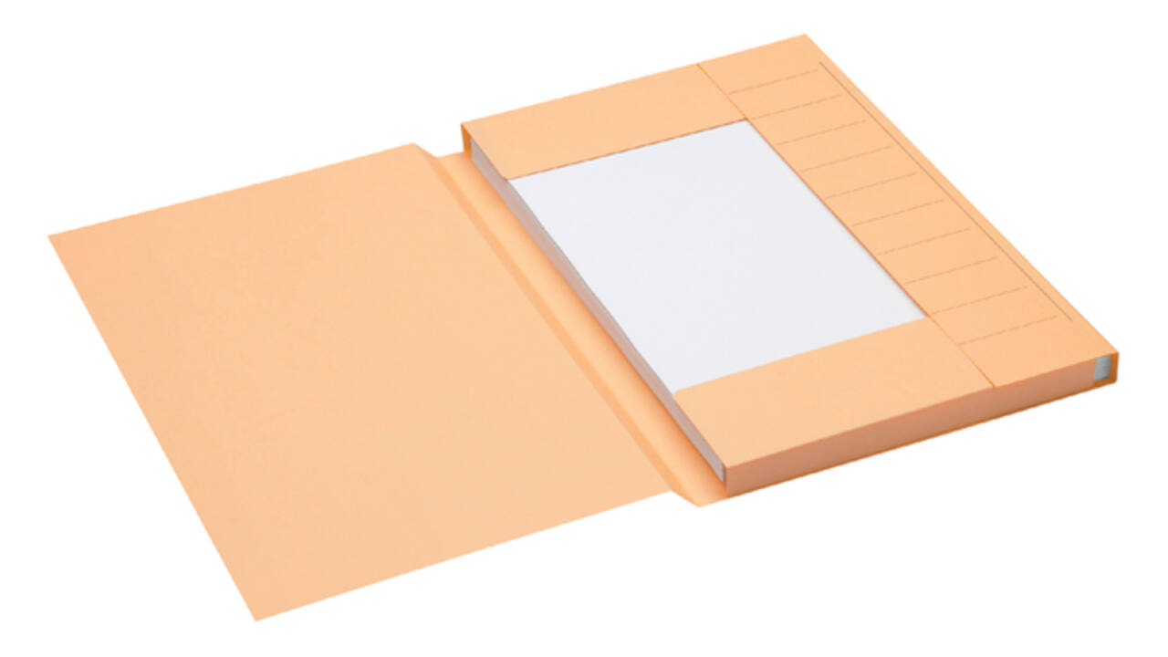 Dossiermap Secolor folio 3 klep 100% gerecycled karton 250 gr chamois