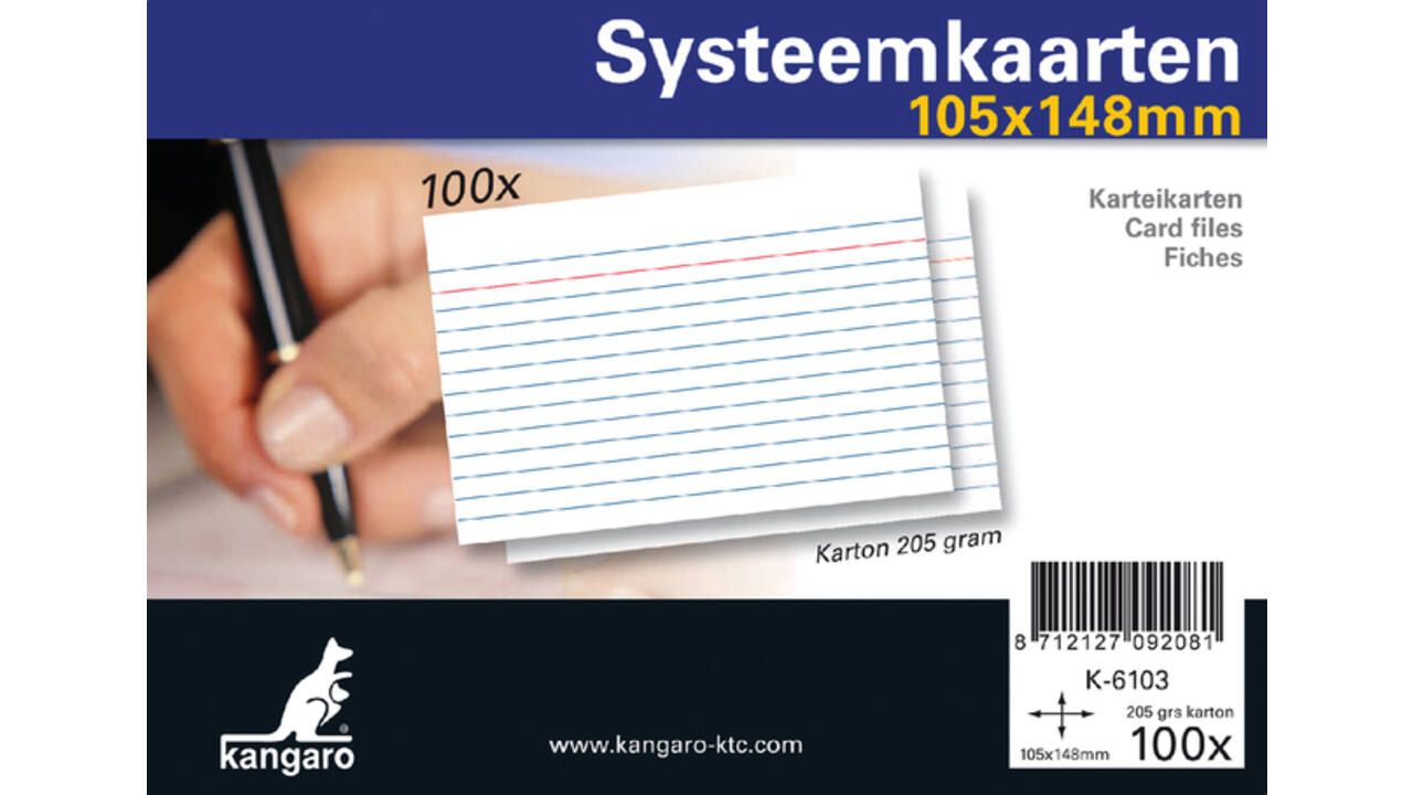 Systeemkaarten A6 105x148mm 100 stuks