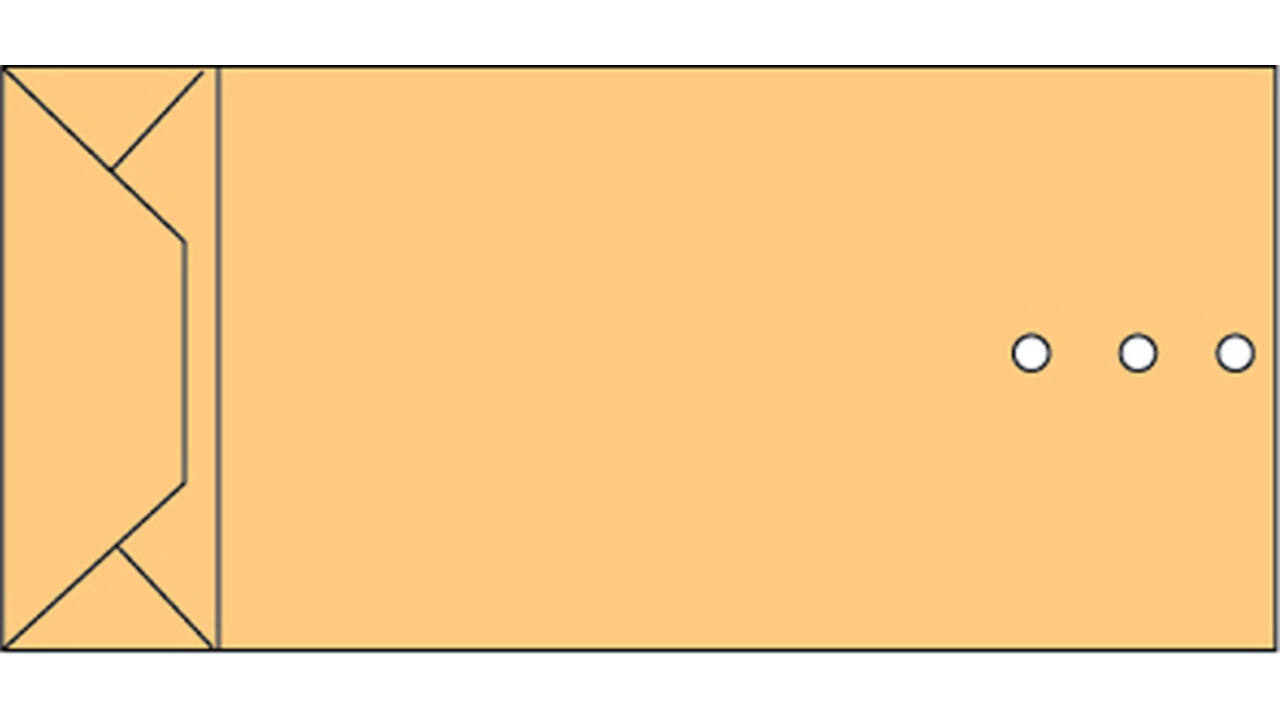 Envelop Quantore monsterzak 100x245x40mm bruin 250 stuks