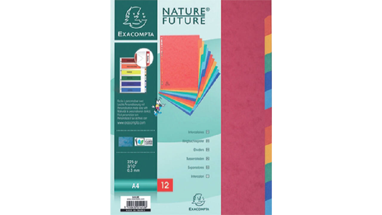 Tabbladen Exacompta 225x297mm 11-gaats 12-delig glanskarton