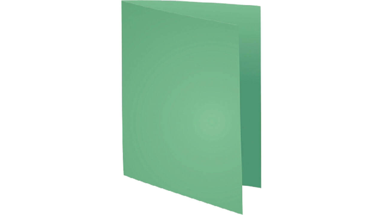 Vouwmap Exacompta Forever A4 170gr grasgroen 100 stuks