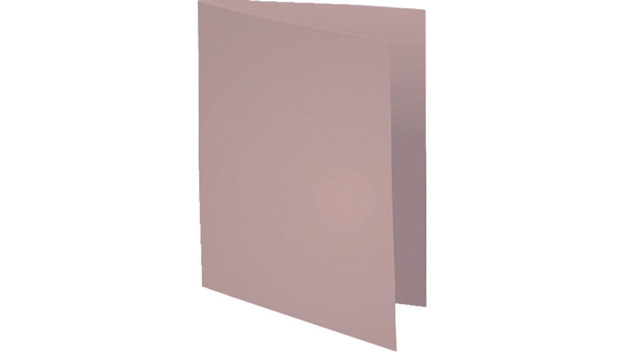 Vouwmap Exacompta Forever A4 170gr grijs 100 stuks