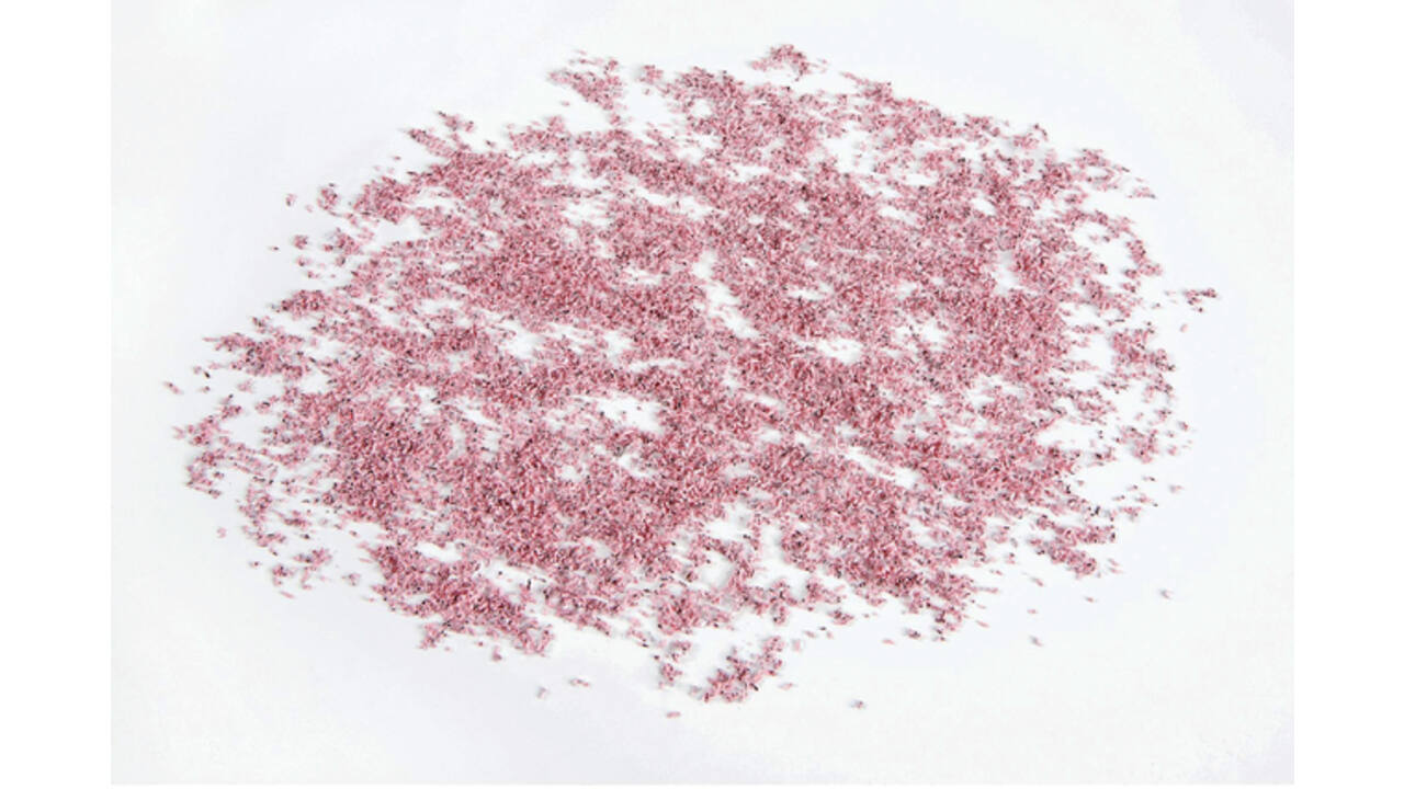 Papiervernietiger IDEAL 2445 snippers 0.8x5mm