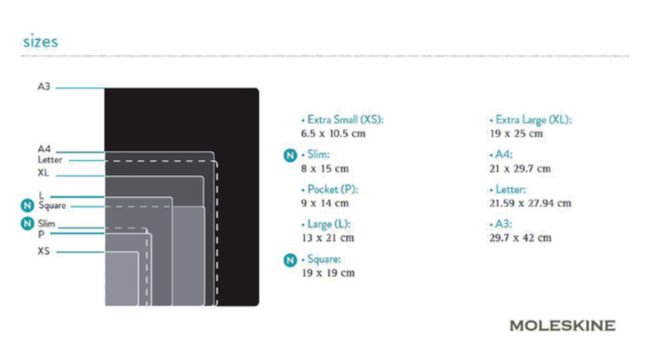 Notitieboek Moleskine large 130x210mm lijn hard cover zwart