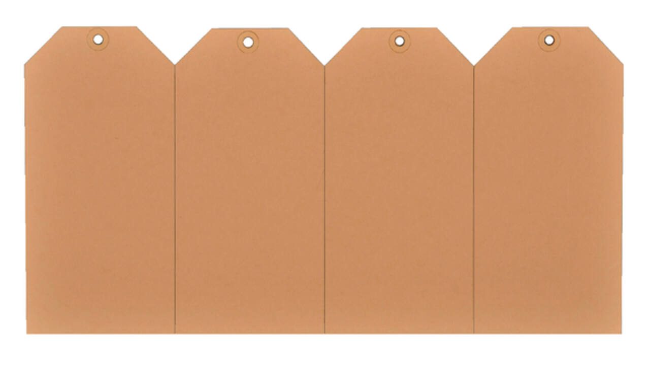 Label karton nr 2  200gr 40x80mm chamois 1000 stuks