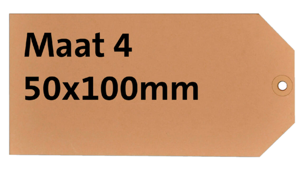 Label karton nr 4 200gr 50x100mm chamois 1000 stuks