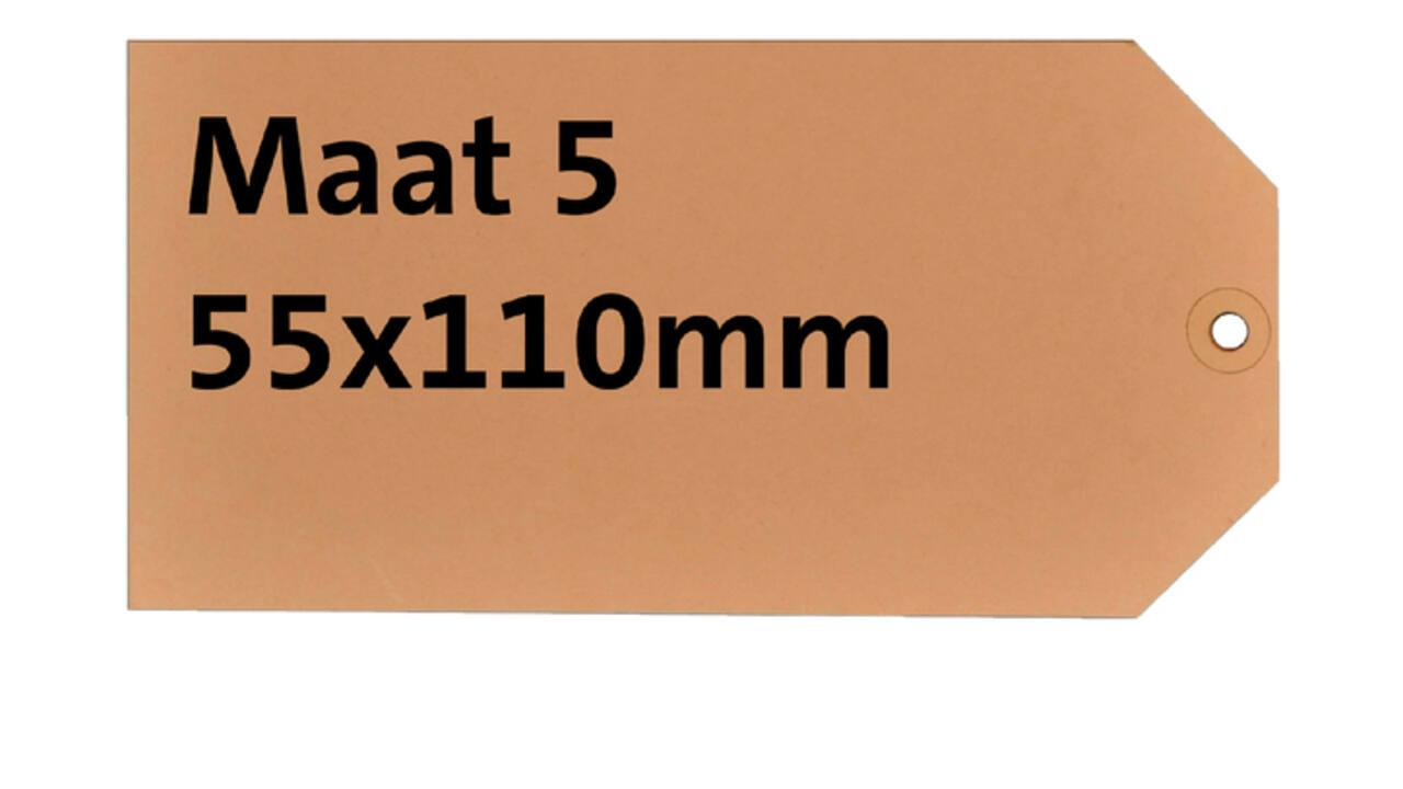 Label karton nr 5 200gr 55x110mm chamois 1000 stuks
