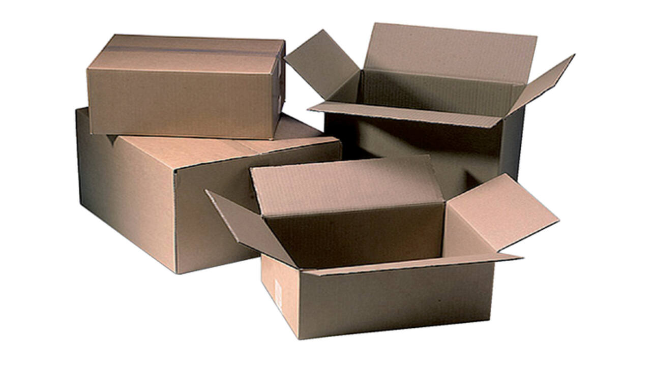 Amerikaanse vouwdoos CleverPack 217x304x150mm B-golf bruin 20 stuks