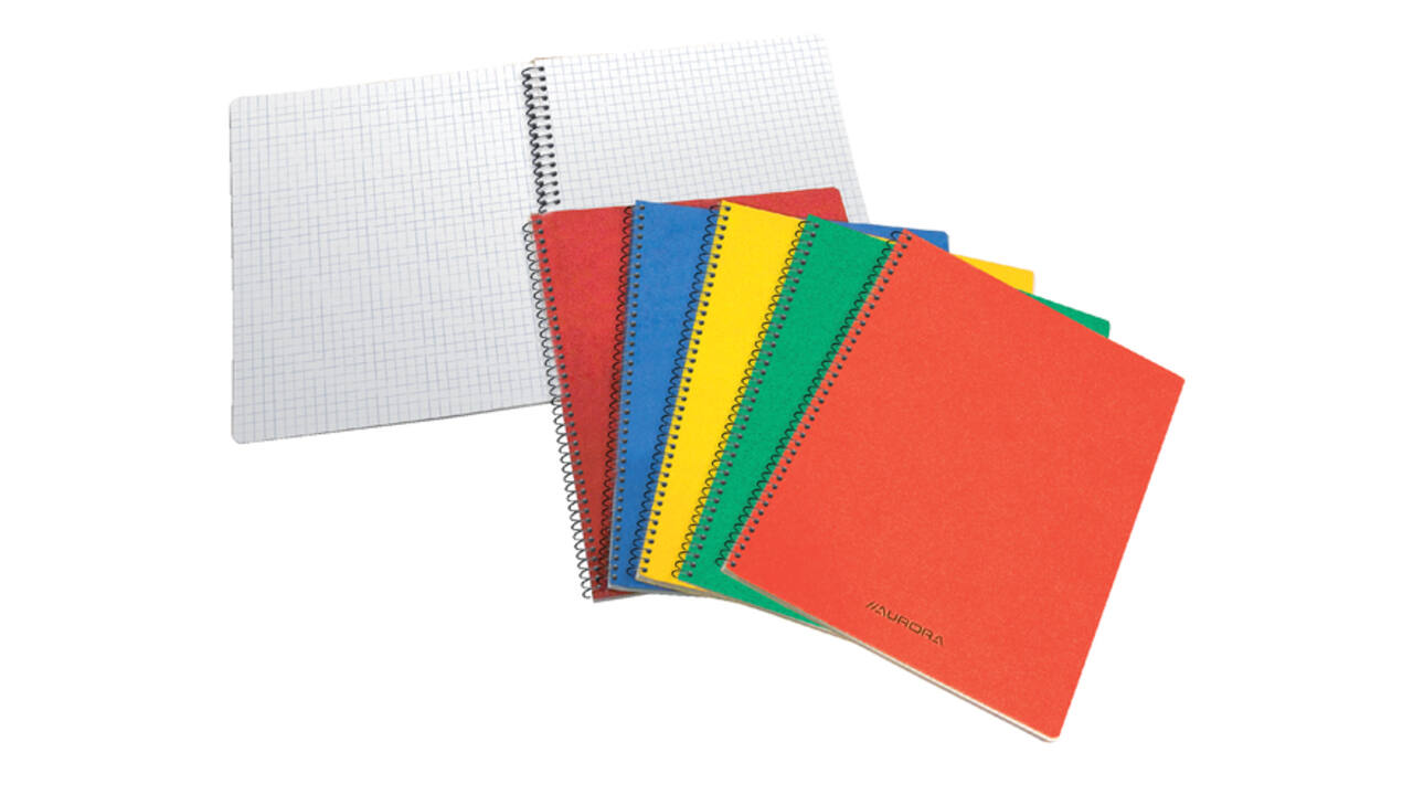 Schrift Aurora 80x135mm ruit 5x5mm 200 pagina's 60gr assorti