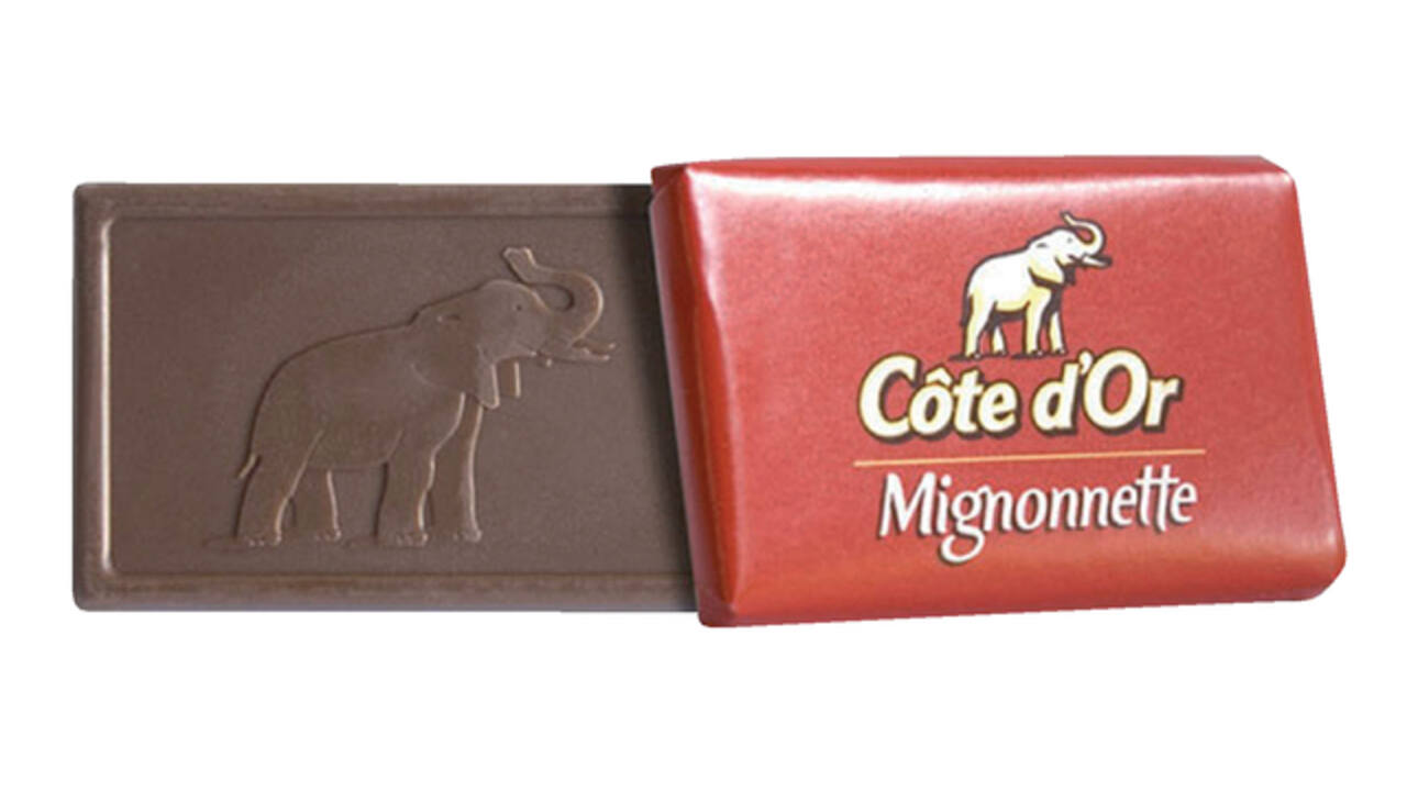 Chocolade Cote d'Or mignonnette melk 120x10 gram