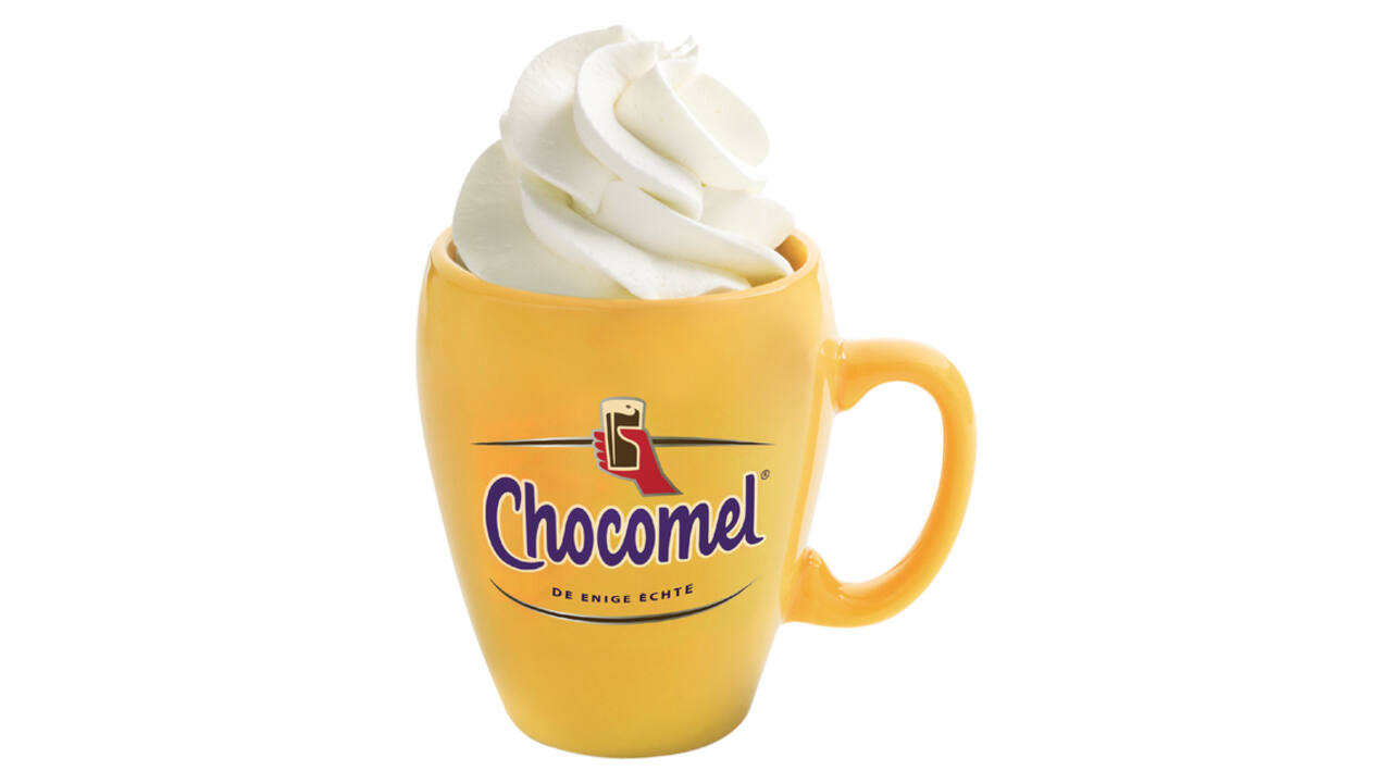 Chocolademelk Chocomel blik 250ml