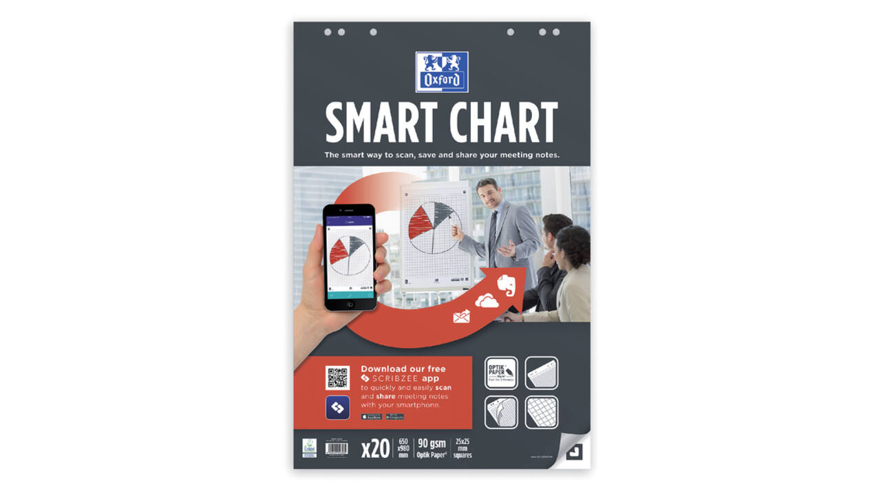 Flipoverpapier Oxford smart 650x980mm ruit 90 gram 20 vel