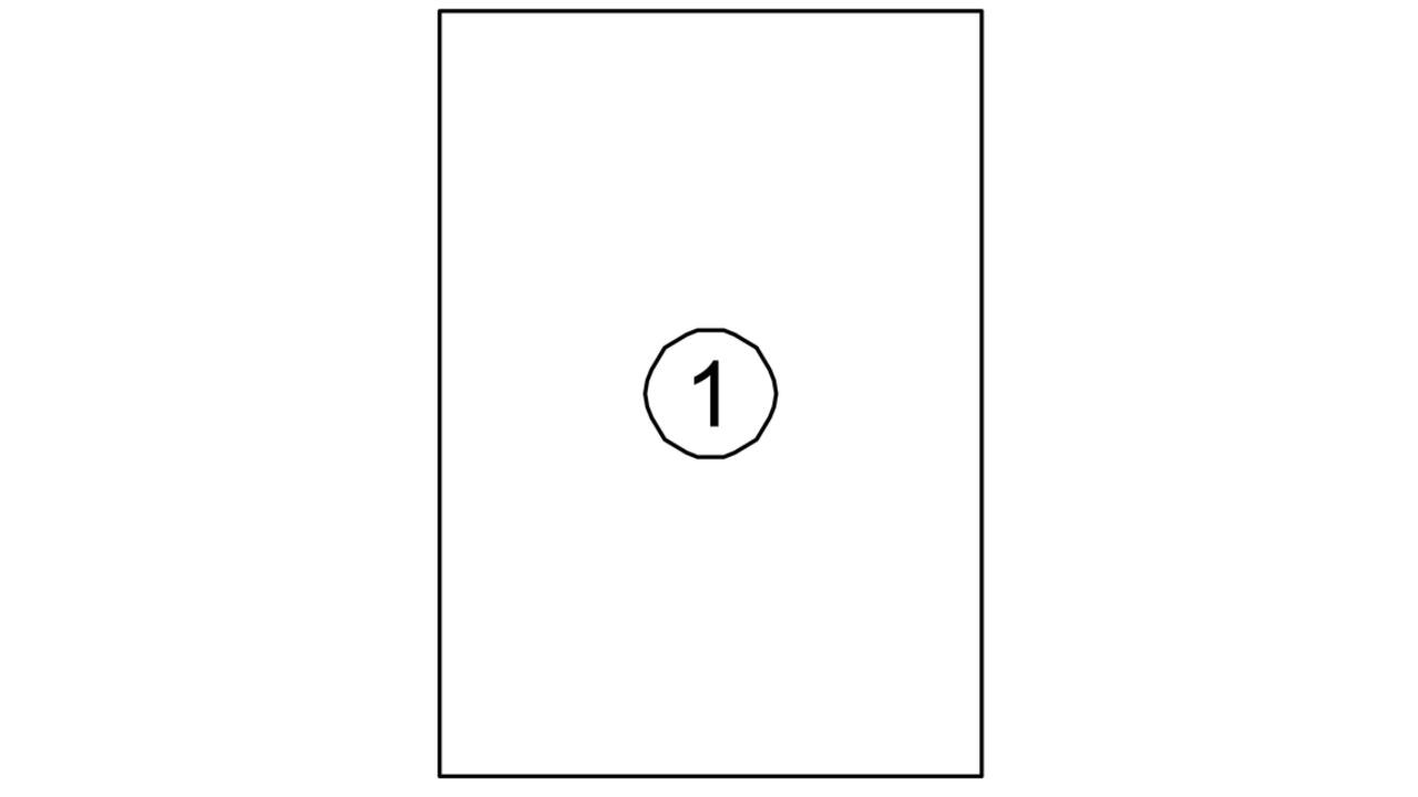 Etiket Quantore 210x297mm 100 stuks