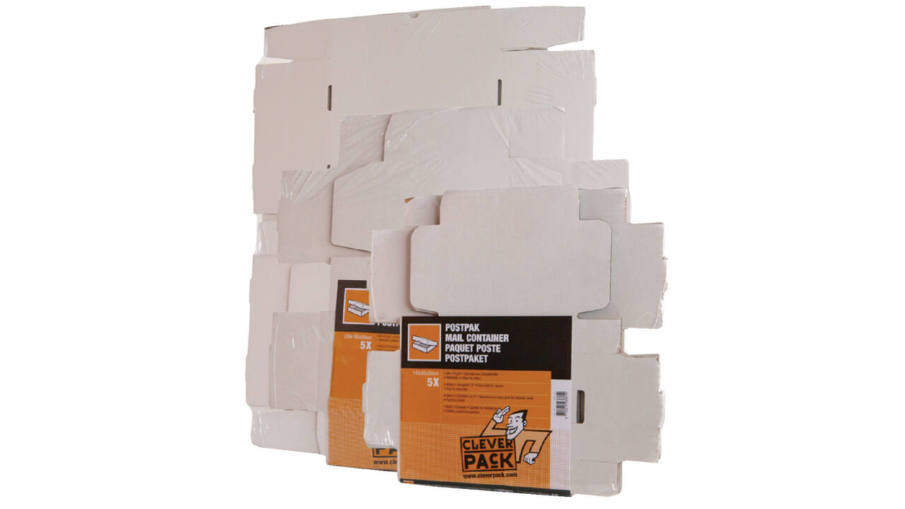 Postpakket CleverPack golfkarton 220x160x90mm wit pak à 5 stuks
