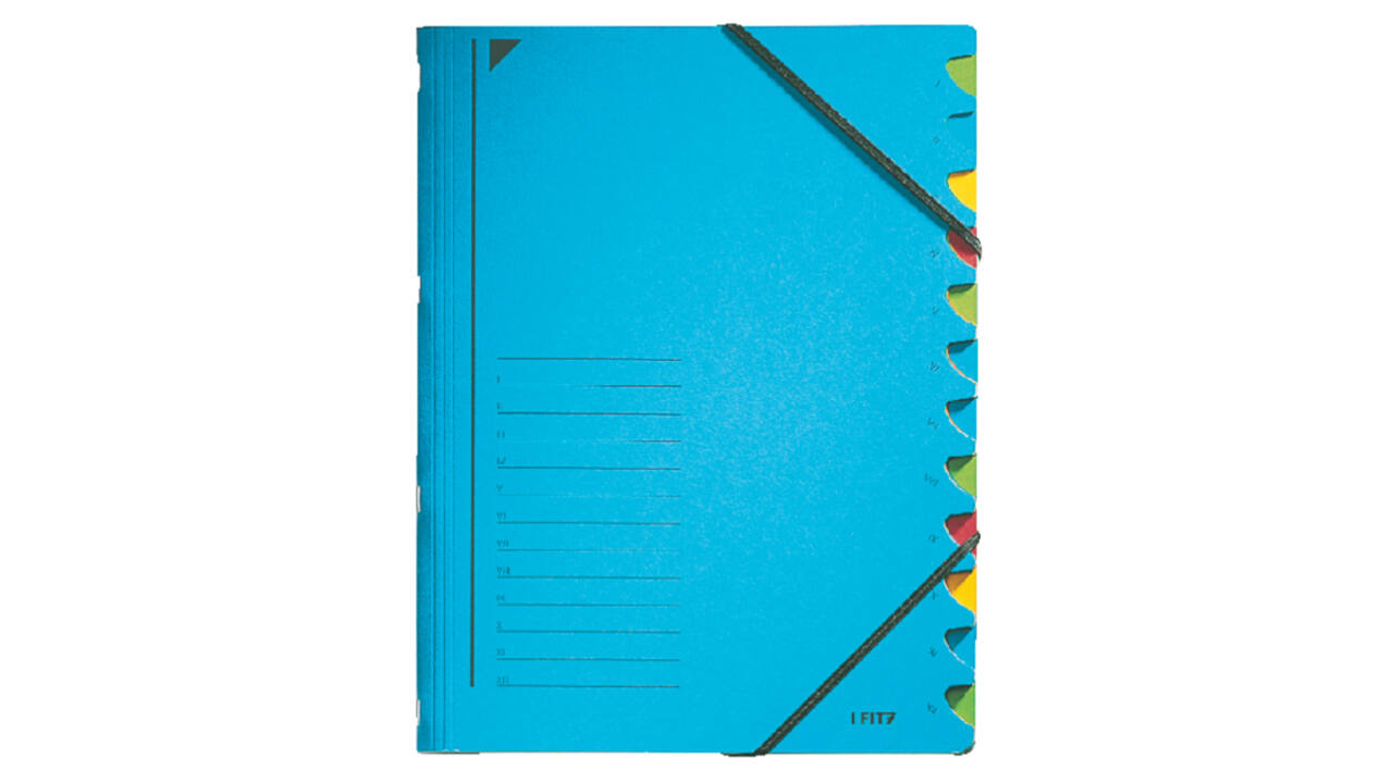Sorteermap Leitz 12 tabbladen karton blauw