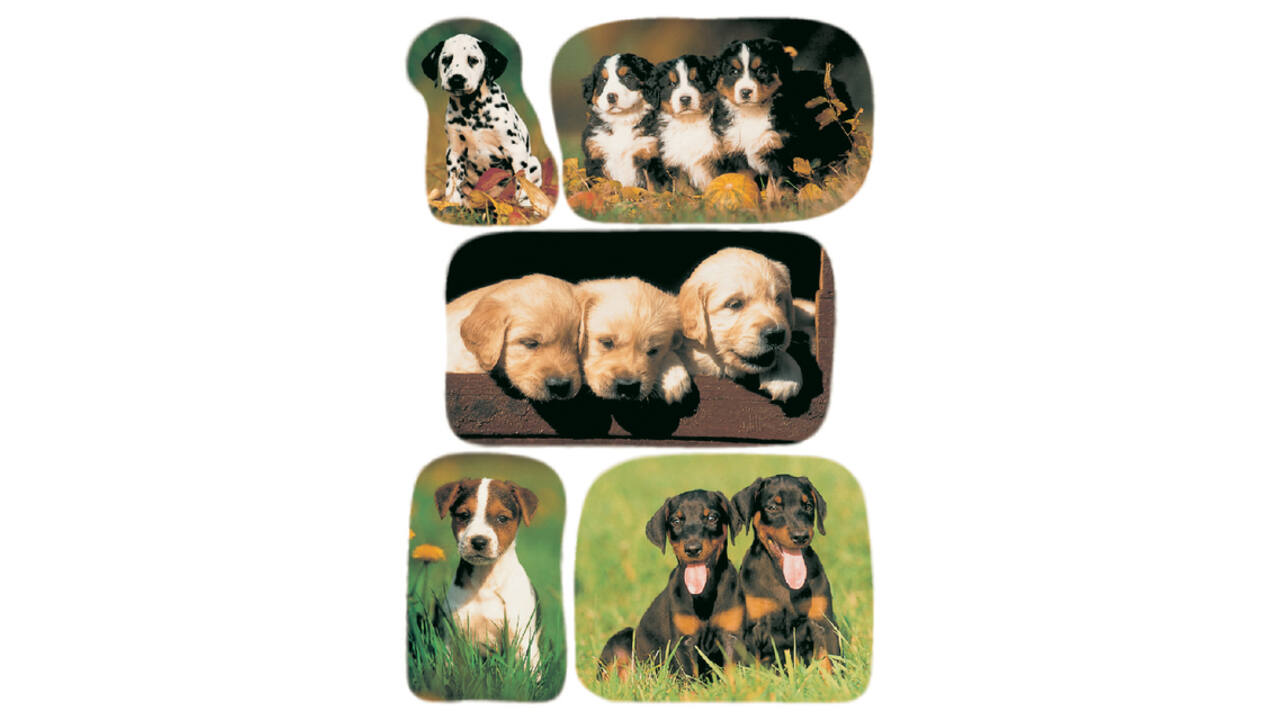Etiket HERMA 3528 honden