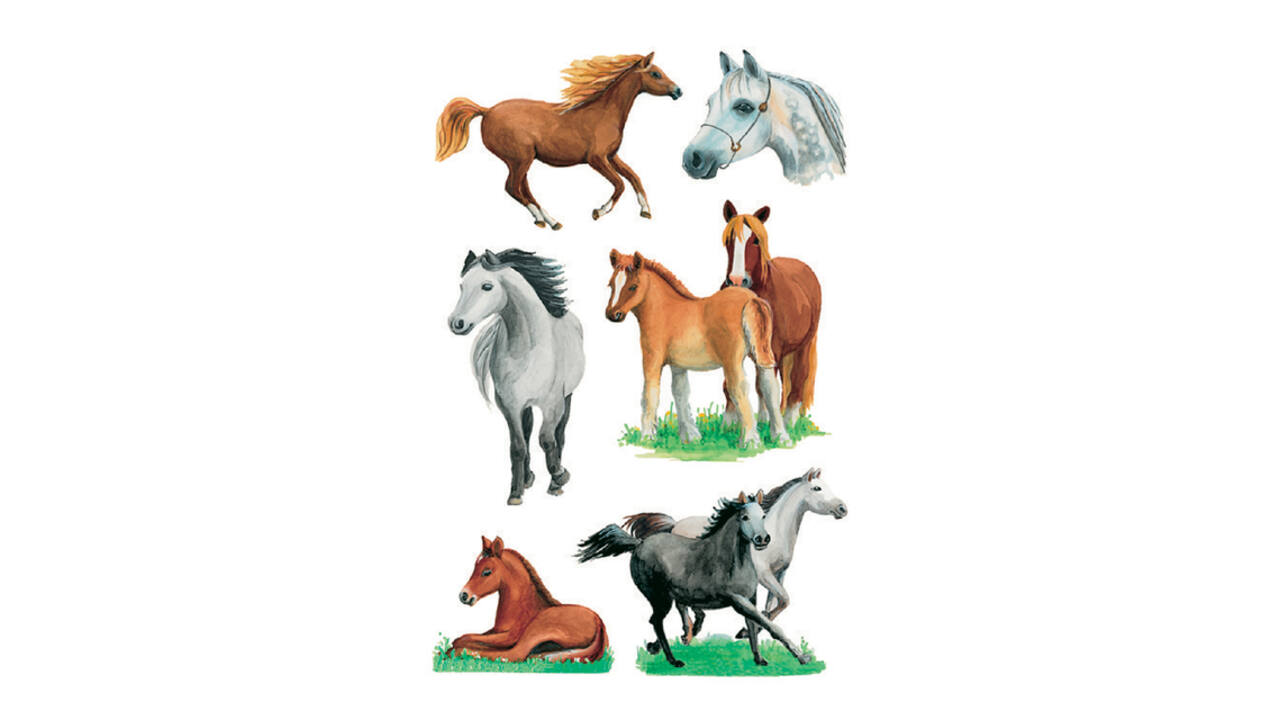 Etiket HERMA 3553 paarden rassen
