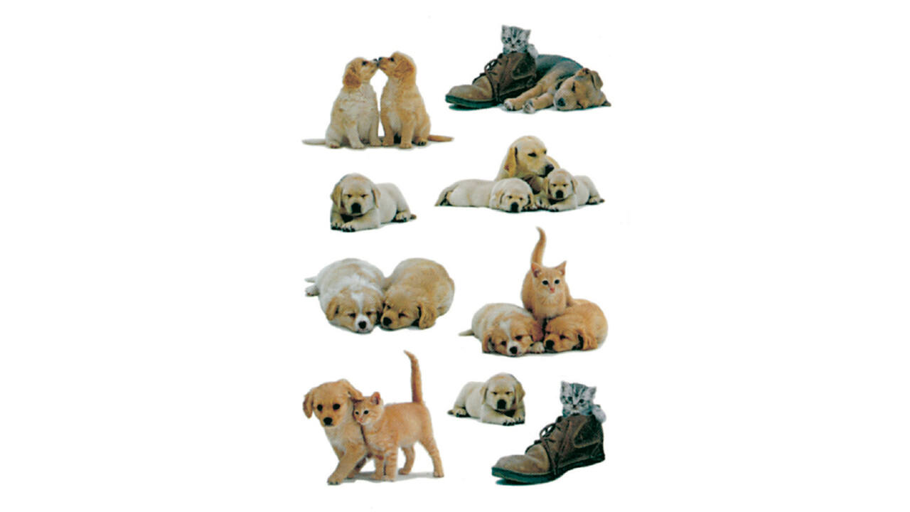Etiket HERMA 5606 puppy's