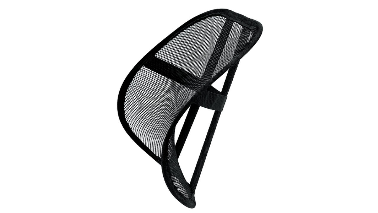 Rugsteun Fellowes Office Suites gaas