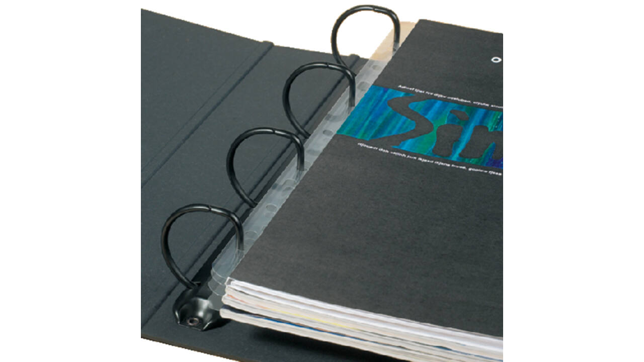 Opbergstrip Djois filestrip A4 295mm 2/4rings transparant 50 stuks