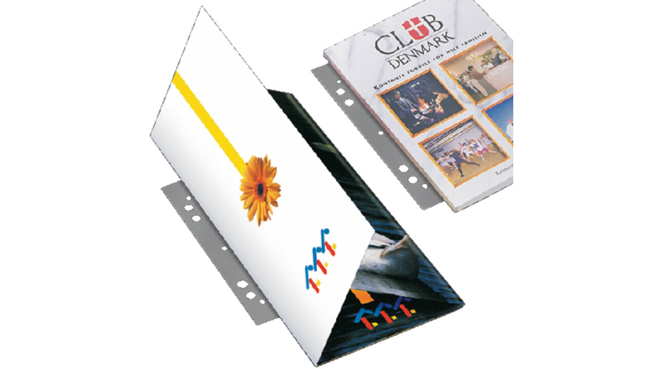 Opbergstrip Djois filestrip A4 295mm 2/4rings transparant 100 stuks