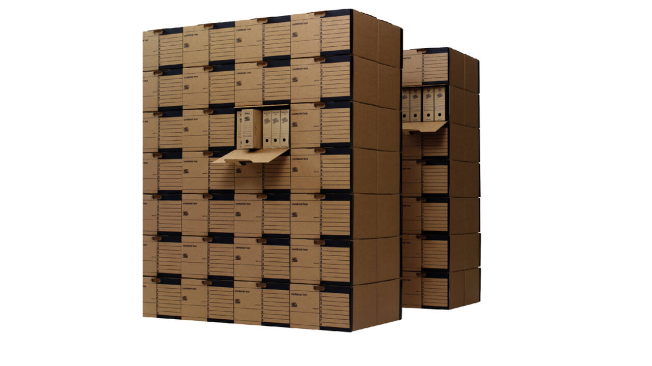 Containerbox Loeff's Standaard box 4001 410x275x370mm