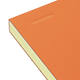Cursusblok Oxford Orange Notepad A4+ lijn 4-gaats 160 pagina's 80gr oranje