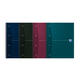 Collegeblok Oxford Office Essentials A4+ lijn 4-gaats 180 pagina's 80gr assorti