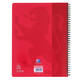 Collegeblok Oxford School A4 ruit 10x10mm 23-gaats 160 pagina's 80gr assorti