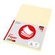 Kopieerpapier Quantore Colour A4 160gr ivoor 50 vel