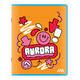 Schrift Aurora A5 lijn 200 pagina's 60gr