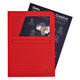Venstermap Exacompta Forever L-model 120gr assorti 10 stuks