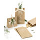 Blokbodemzak Folia 12x6x21cm foodsafe kraft set à 15 stuks