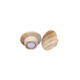 Magneet Legamaster hout 5 stuks