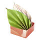 Vouwblaadjes Folia 80gr 15x15cm 50 vel 2-zijdig 10 tropical designs