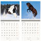 Kalender 2027 Helma 365 30x30cm paarden