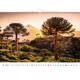 Kalender 2027 Helma 365 31.5x45cm Nationale parken
