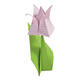 Vouwblaadjes Folia 80gr 20x20cm 50 vel 2-zijdig 10 basics designs