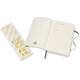 Notitieboek Moleskine pocket 90x140mm blanco soft cover myrtle green