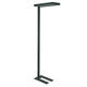 Vloerlamp MAUL Juvis LED beweging- daglichtsensor dimbaar hg 195cm zwart