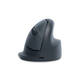 Muis R-Go Ergonomisch HE Basic Wireless Rechts M