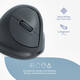 Muis R-Go Ergonomisch HE Basic Wireless Rechts M