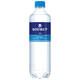 Water Sourcy blauw petfles 500ml