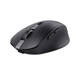 Muis Trust Ozaa compact draadloos