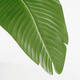 Kunstplant Mica Bananen boom in plastic pot 180x30cm