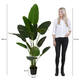 Kunstplant Mica Bananen boom in plastic pot 180x30cm