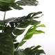 Kunstplant Mica Monstera in plastic pot 100x70cm