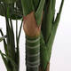 Kunstplant Mica Monstera in plastic pot 100x70cm