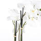 Kunstplant Mica Phalaenopsis orchideeën wit in plastic pot 79x51cm